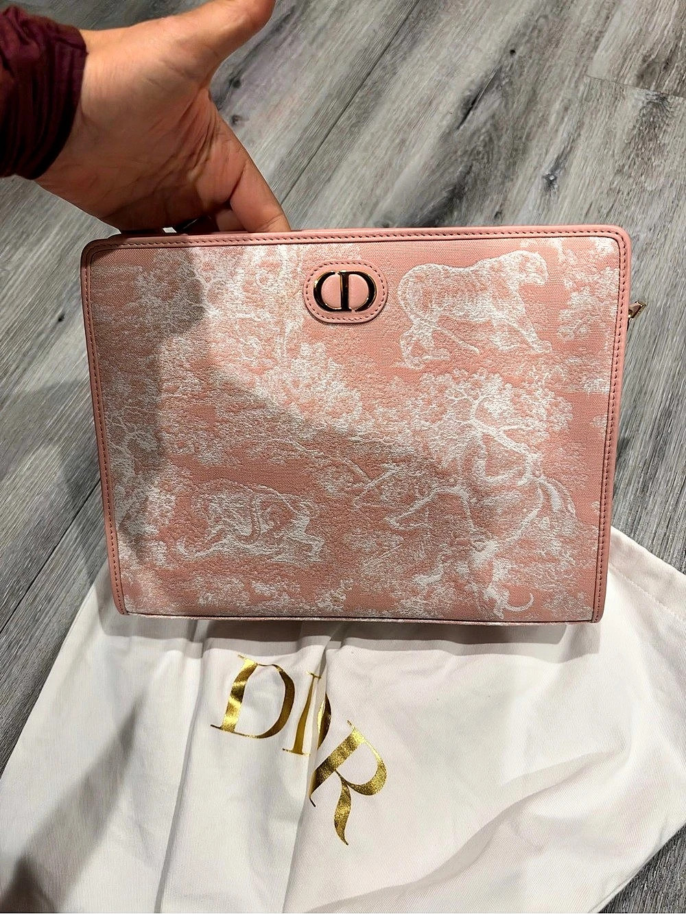 Dior Pink Wristlet Clutch
